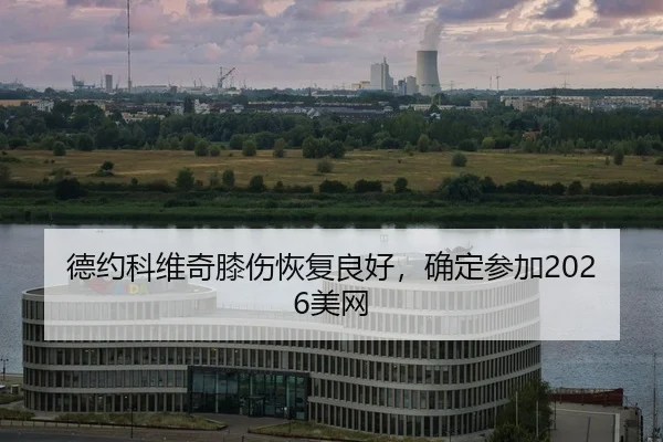 de-yue-ke-wei-qi-xi-shang-hui-fu-liang-hao-que-ding-can-jia-mei-wang-2-954.jpg
