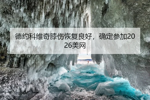 德约科维奇膝伤恢复良好，确定参加2026美网