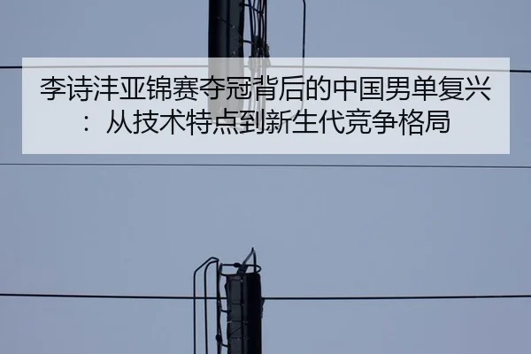 李诗沣亚锦赛夺冠背后的中国男单复兴：从技术特点到新生代竞争格局